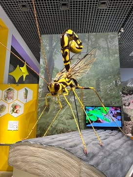 特別展「昆虫 MANIAC」（国立科学博物館）に投稿された画像（2024/9/18）