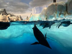 名古屋港水族館に投稿された画像（2024/9/18）