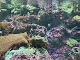 サンシャイン水族館に投稿された画像（2024/9/18）