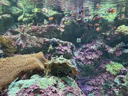 サンシャイン水族館に投稿された画像（2024/9/18）