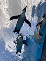 サンシャイン水族館に投稿された画像（2024/9/18）