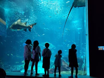 マリンワールド海の中道に投稿された画像（2024/9/18）