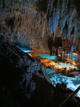 おきなわワールドに投稿された画像（2024/9/18）