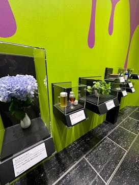 特別展　毒に投稿された画像（2024/9/18）