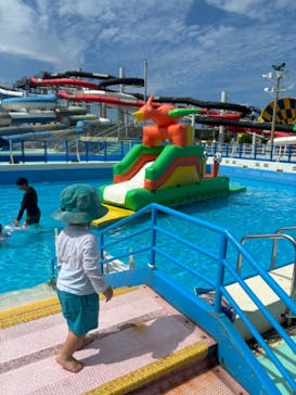 芝政ワールドに投稿された画像（2024/9/18）