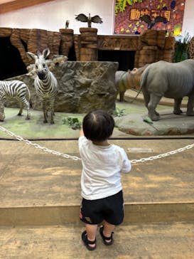 芝政ワールドに投稿された画像（2024/9/18）