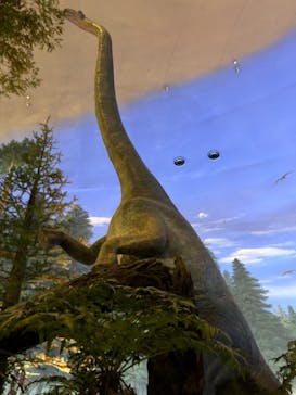 福井県立恐竜博物館に投稿された画像（2024/9/18）