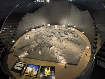 福井県立恐竜博物館に投稿された画像（2024/9/18）