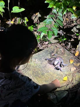 imtida宮古島に投稿された画像（2024/9/18）