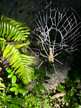 imtida宮古島に投稿された画像（2024/9/18）