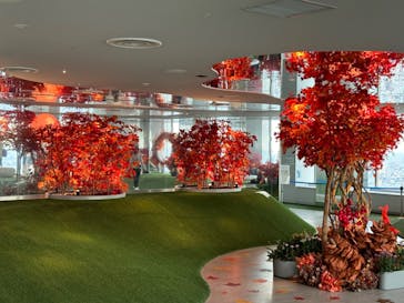 サンシャイン60展望台に投稿された画像（2024/9/18）