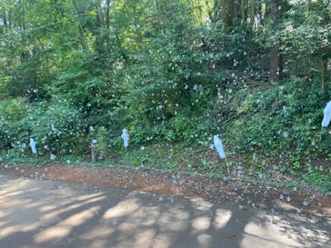 ムーミンバレーパークに投稿された画像（2024/9/18）