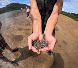 西表島 ADVENTURE PiPi（アドベンチャーピピ）に投稿された画像（2024/9/18）