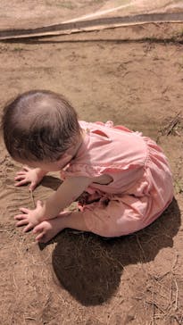 芝政ワールドに投稿された画像（2024/9/18）