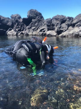 オレンジフィッシュに投稿された画像（2024/9/18）