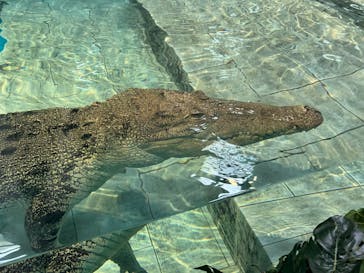 NIFREL（ニフレル）に投稿された画像（2024/9/18）