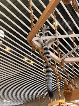 NIFREL（ニフレル）に投稿された画像（2024/9/18）