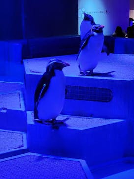 AOAO SAPPOROに投稿された画像（2024/9/18）