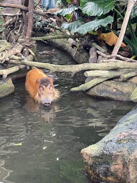 那須どうぶつ王国に投稿された画像（2024/9/18）
