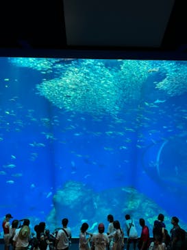 アクアワールド茨城県大洗水族館に投稿された画像（2024/9/18）