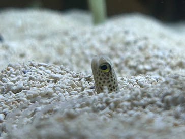 AOAO SAPPOROに投稿された画像（2024/9/18）