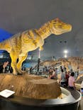 福井県立恐竜博物館に投稿された画像（2024/9/18）