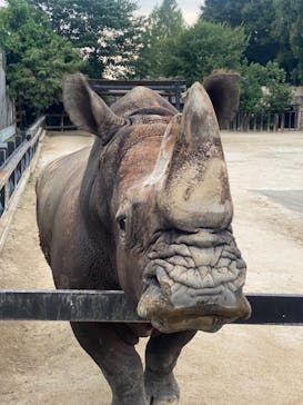 東武動物公園に投稿された画像（2024/9/18）
