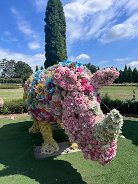 東武動物公園に投稿された画像（2024/9/18）