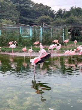 東武動物公園に投稿された画像（2024/9/18）