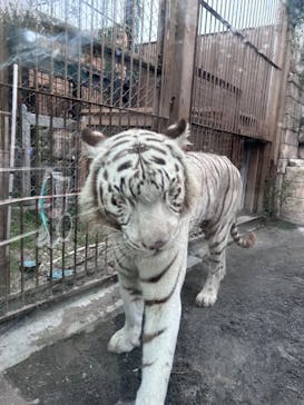 東武動物公園に投稿された画像（2024/9/18）