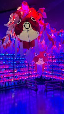 NARA KINGYO MUSEUMに投稿された画像（2024/9/18）