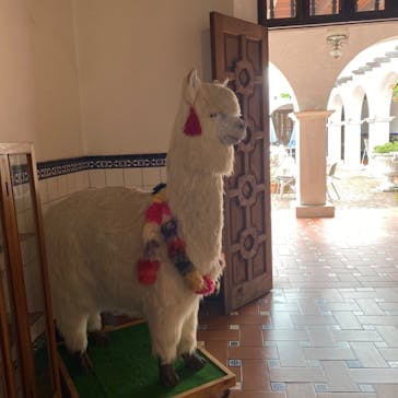 野外民族博物館 リトルワールドに投稿された画像（2024/9/18）