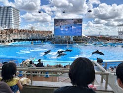 名古屋港水族館に投稿された画像（2024/9/18）