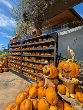 ひらかたパークに投稿された画像（2024/9/18）