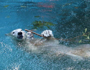 天王寺動物園に投稿された画像（2024/9/18）
