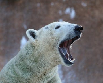 天王寺動物園に投稿された画像（2024/9/18）