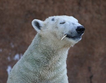 天王寺動物園に投稿された画像（2024/9/18）
