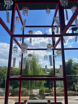 京都水族館に投稿された画像（2024/9/18）