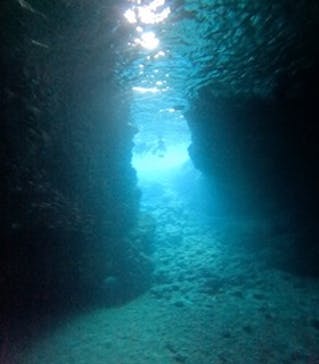 沖縄マリンサービス碧に投稿された画像（2024/9/19）