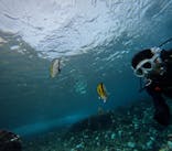 沖縄マリンサービス碧に投稿された画像（2024/9/19）