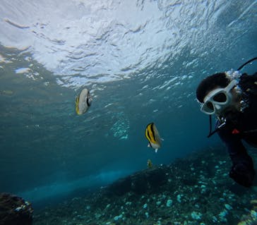 沖縄マリンサービス碧に投稿された画像（2024/9/19）