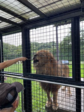 那須サファリパークに投稿された画像（2024/9/19）