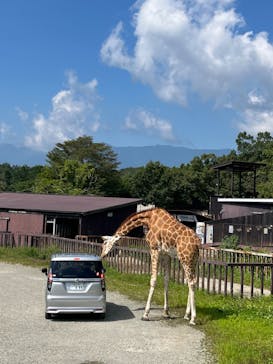那須サファリパークに投稿された画像（2024/9/19）