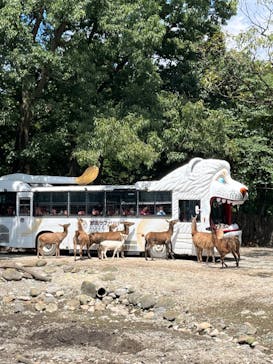 那須サファリパークに投稿された画像（2024/9/19）