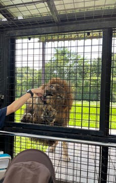 那須サファリパークに投稿された画像（2024/9/19）