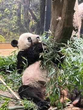 恩賜上野動物園に投稿された画像（2024/9/19）