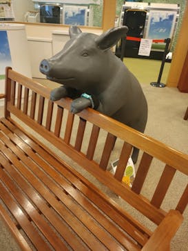 天然温泉 花鳥風月に投稿された画像（2024/9/19）