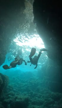 武藤潜水に投稿された画像（2024/9/19）