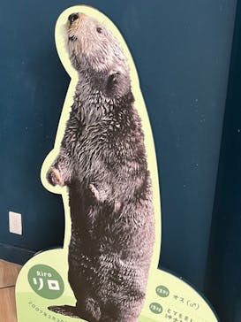 マリンワールド海の中道に投稿された画像（2024/9/19）