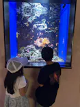 仙台うみの杜水族館に投稿された画像（2024/9/19）